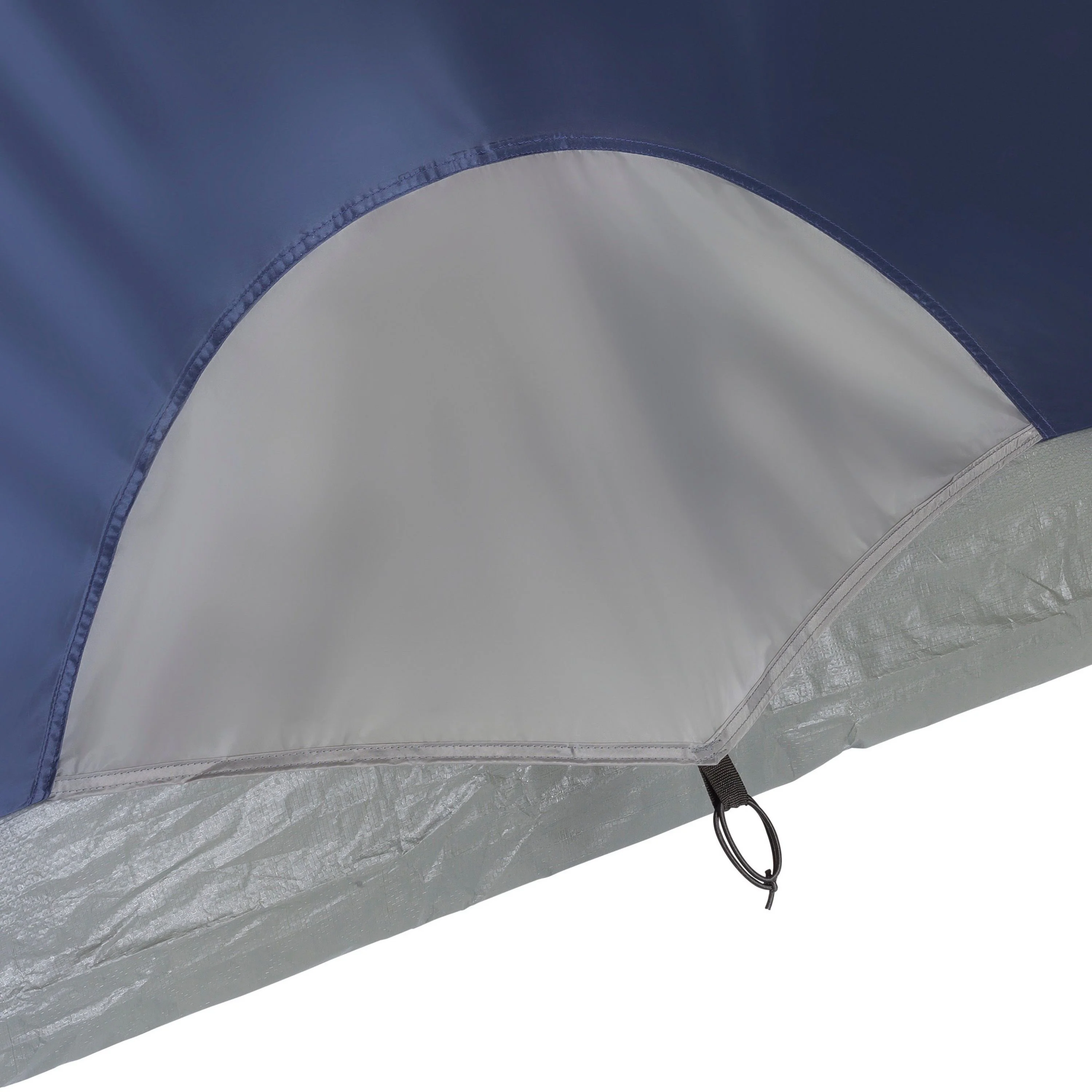 Coleman Sundome 4-Person Camping Tent, 1 Room, Blue